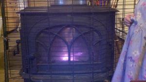 293992_2244862035685_1118597255_n